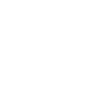 Intellekt BR
